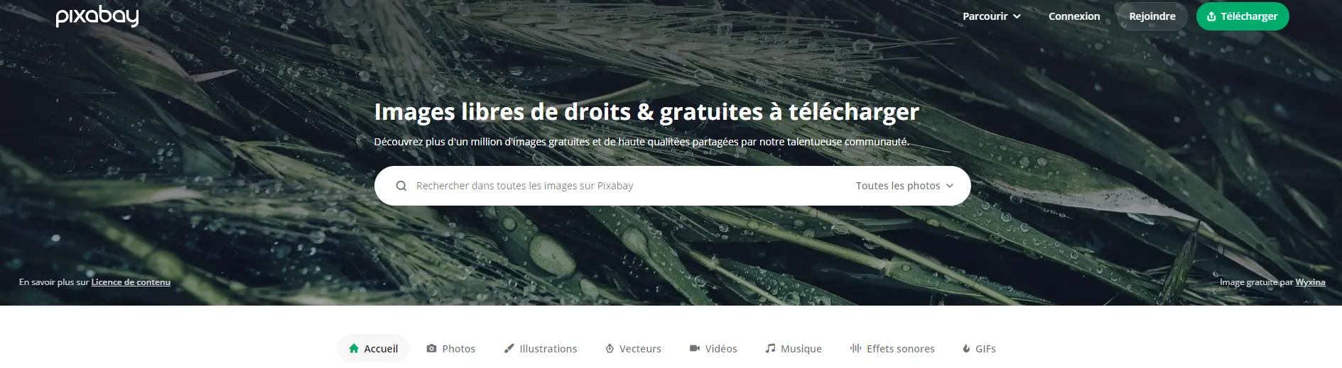 Capture d’écran du site Pixabay, banque d’images libres de droit