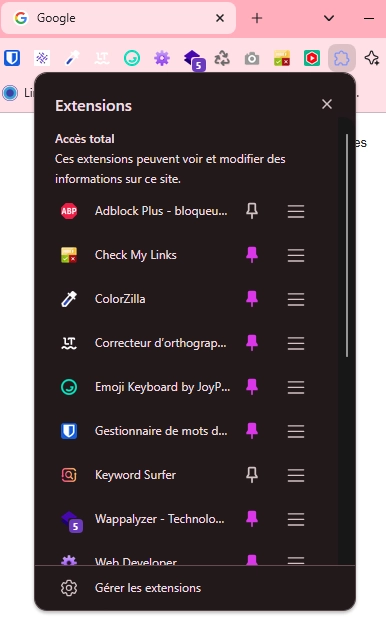 Extensions dans la barre d'outils miniature