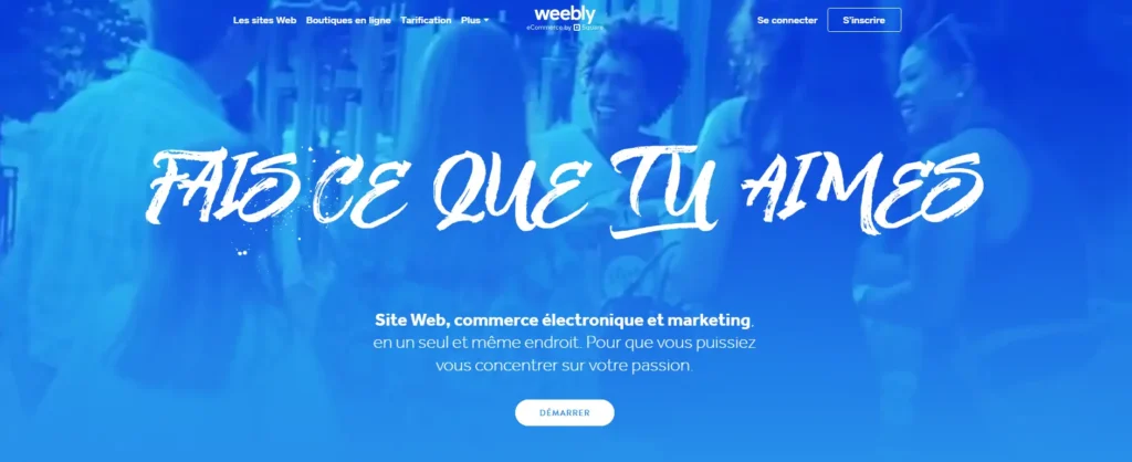 Weebly miniature