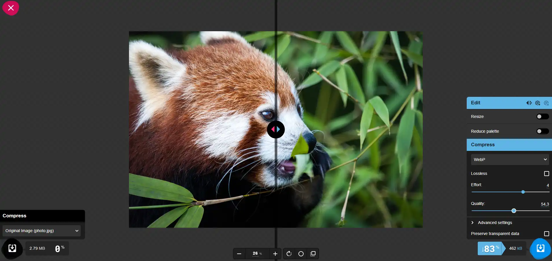 Exemple de compression d'image avec Squoosh sur une photo de panda roux
