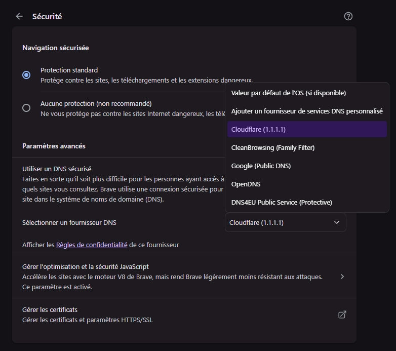 Capture d'écran des paramètres de sécurité du navigateur Brave avec l'option DNS sécurisé configurée sur Cloudflare 1.1.1.1.
